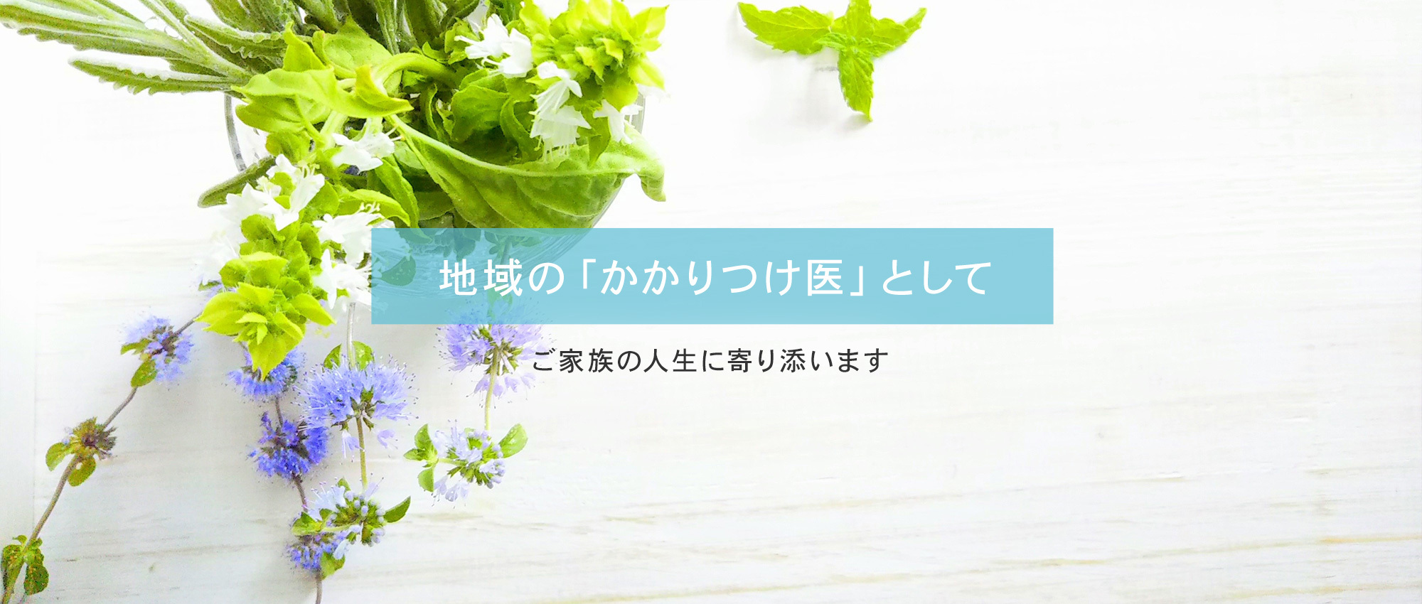 本吉郡南三陸町歌津枡沢、内科、小児科、腎臓内科